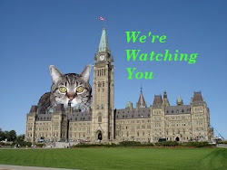 The Bear Cat’s musings: Canada: Democracy under siege